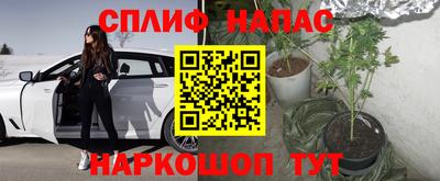 герыч Тавда