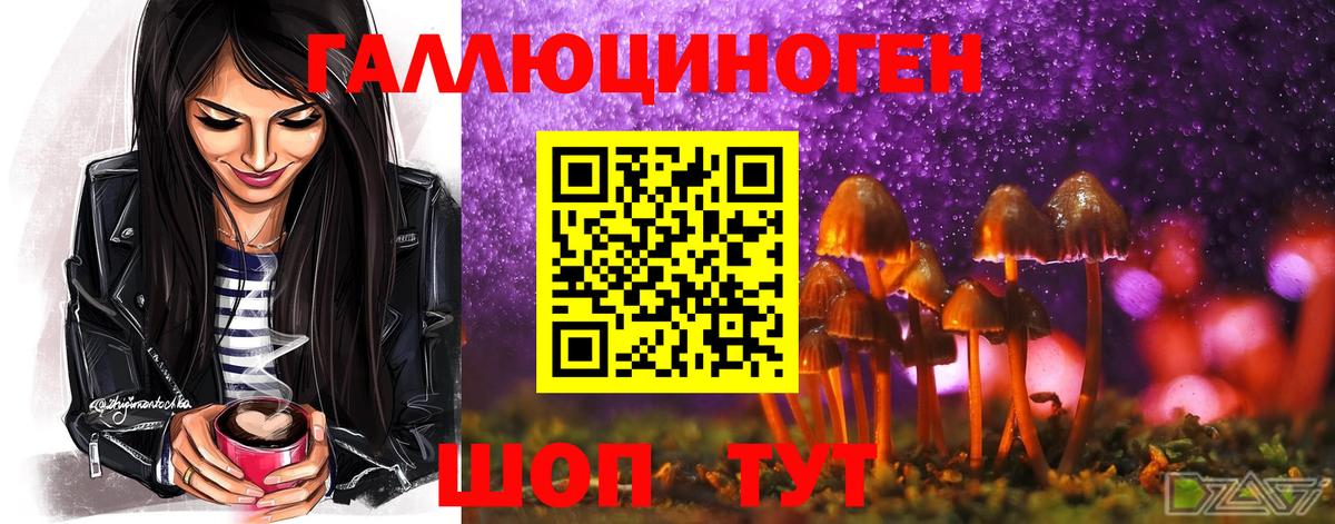 Галлюциногенные грибы прущие грибы  Вход с VPN  Асбест  купить наркотики цена  Галлюциногенные грибы Psilocybine cubensis 