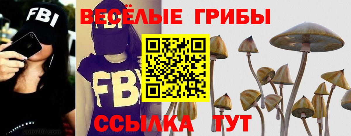 Псилоцибиновые грибы Psilocybine cubensis Асбест