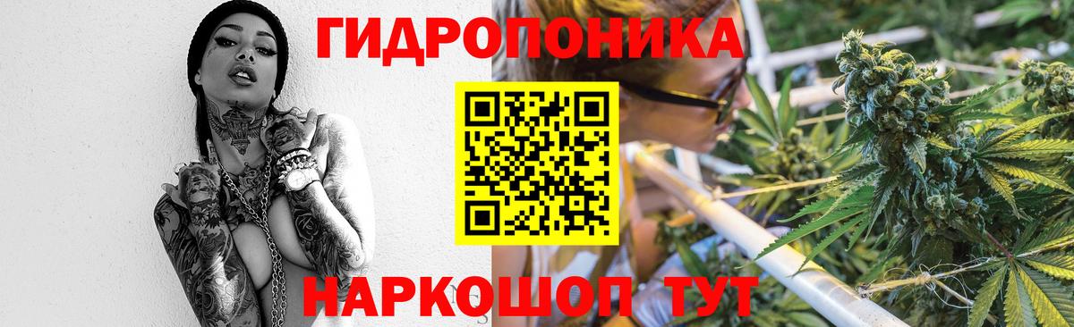 МАРИХУАНА конопля Асбест